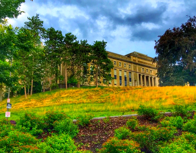 康奈尔理工学院